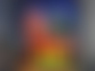 Entradas para el Super Bowl LIX alcanzan un récord histórico dentro de la NFL, el precio de arranque para los tickets va de 4 mil a 43 mil dólares un solo asiento. 