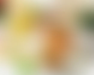 平日限定お得プラン 新登場!!