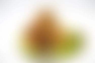 からあげ食べ放題コース始めました!!