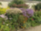 Be it scent, colour or touch, we offer planting schemes to cater for the clients needs.
