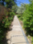 Stone pathway in Cotswolds.jpeg