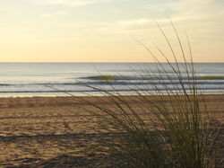 Belles vagues surf