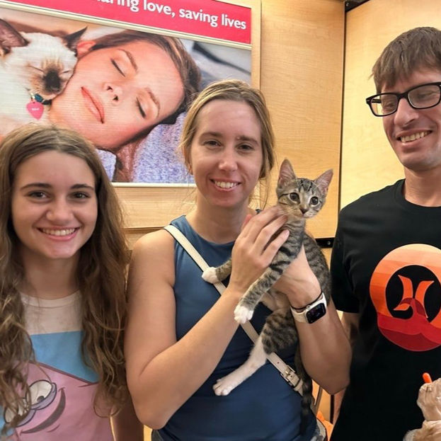 League City Pets Alive, League City, Texas, cat adoption day