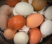 chicken eggs