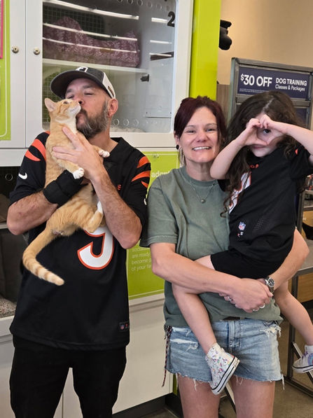 League City Pets Alive, League City, Texas, cat adoption day
