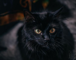 DSC_3577-Enhanced-NR-Edit-3