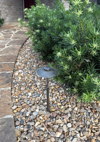 Landscape lighting illuminating trees and pathways in San Antonio xeriscape.