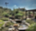 Casey's Yard.jpg