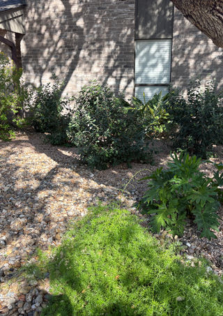 Woods of Shavano xeriscape landscape design in San Antonio with native plants and flagstone paths.