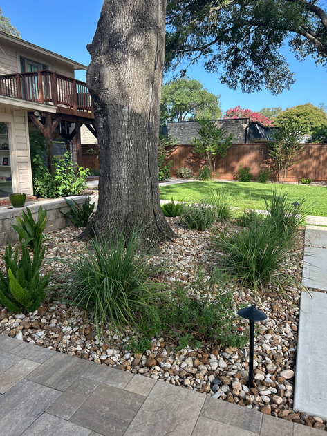 Belgard paver surface detail with decorative design and garden tree — Castle Hills patio renovation, San Antonio TX