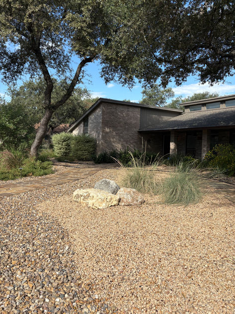 Mature native shrubs and landscape lighting in established xeriscape — Woods of Shavano, San Antonio TX
