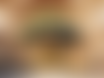 "El Arte de Sembrar Riqueza en Ladrillos y Tierra"