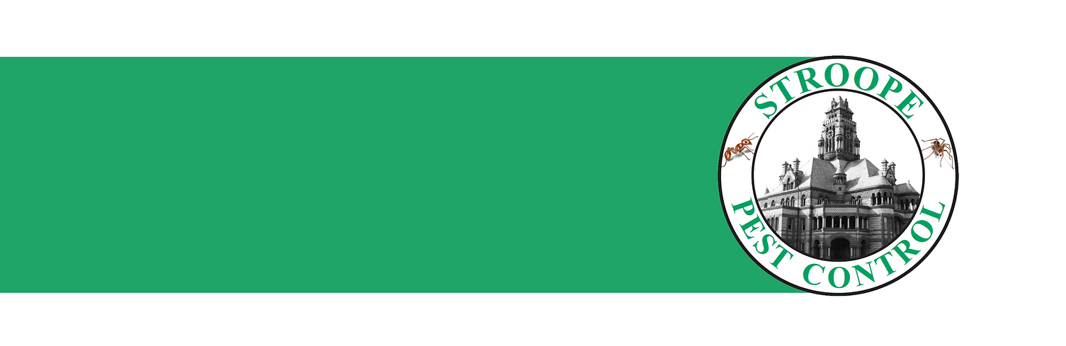 Untitled design (5).png