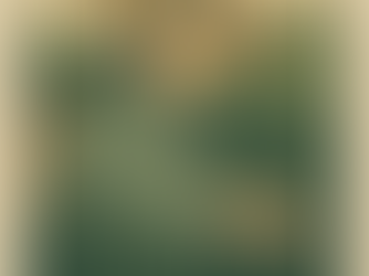 Camellia Sinensis – Çay Bitkisinin Gizemi ve Tarım Yolculuğu