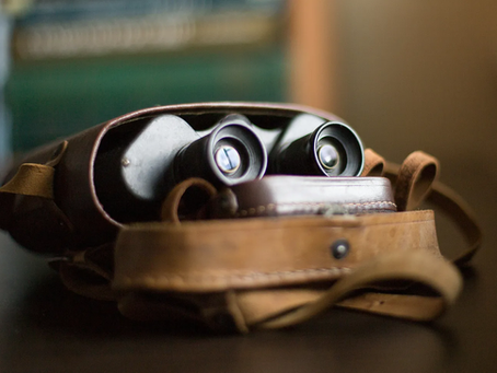 Binoculars in a leather case.