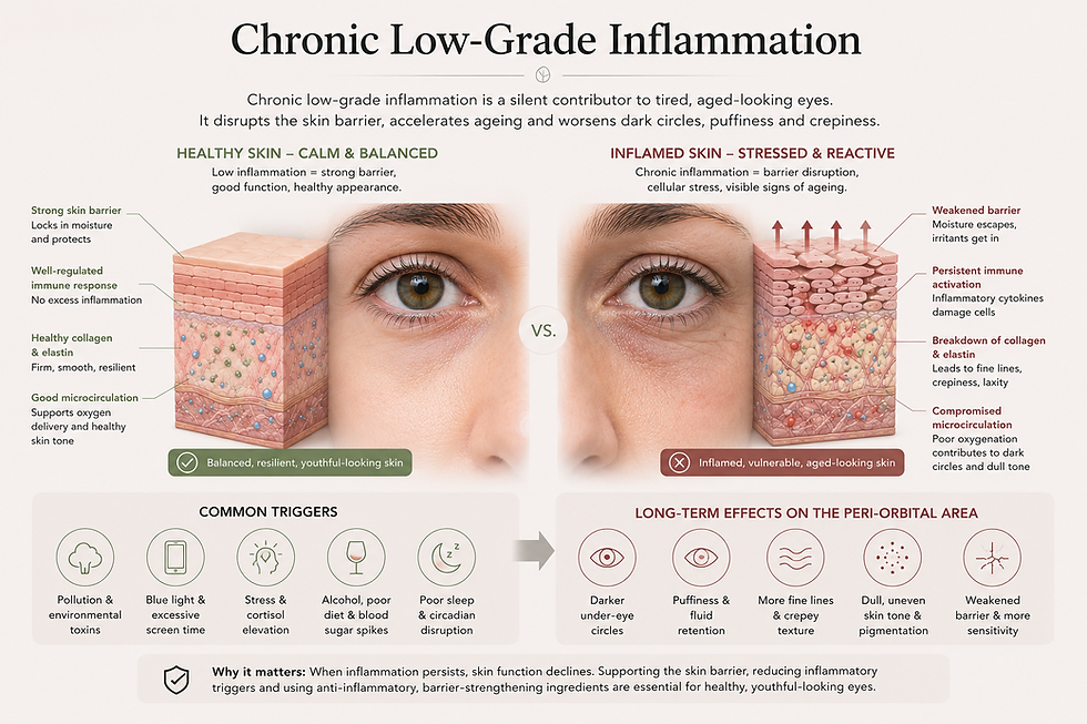 Infographic comparing healthy vs inflamed under-eye skin, with eye closeups, skin cross-sections, triggers, and effects of chronic inflammation
