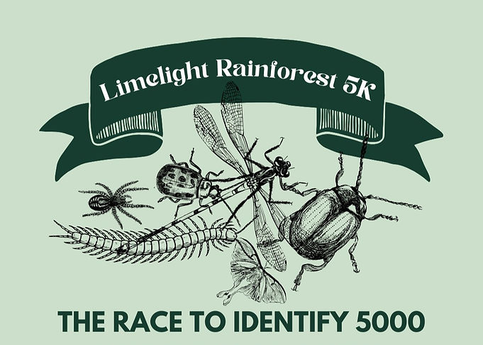 Copy of Something Bug is coming_edited_e