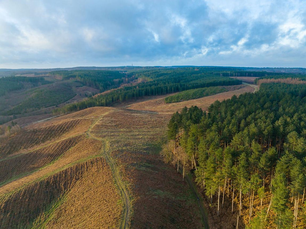 a shot frmo above of cannock chase