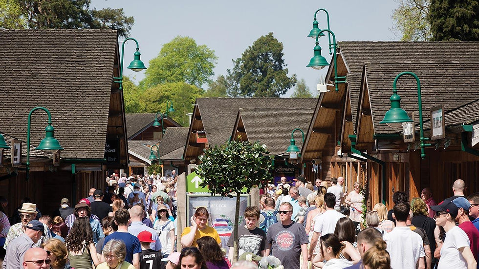 picture of a busy retail park