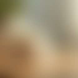 Top Moisturisers for Dry Skin: Hydrating Skincare for Dry Skin