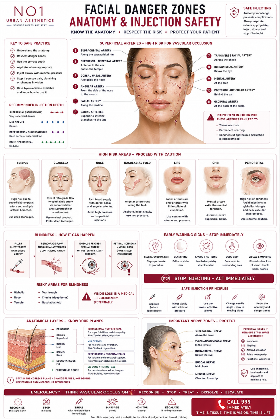 Preview of Facial Danger Zones — Anatomy & Injection Safety Poster