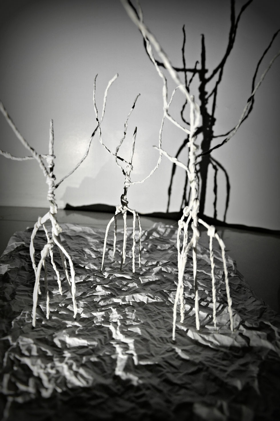 Site - Trees