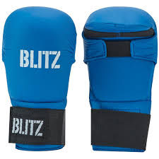 Karate Gloves
