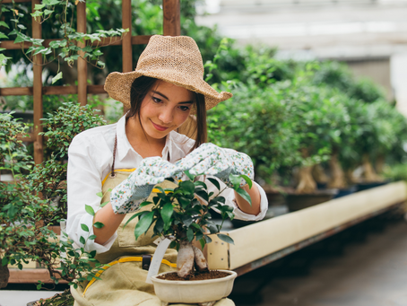 The Simple Joys of Growing Your Own Food