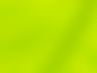 How Does Chlorophyll Support Your Health?