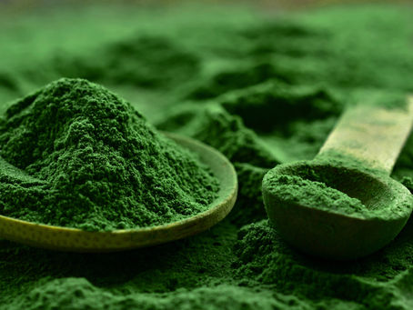 The Power of a Single Ingredient... Wild Blue Green Algae