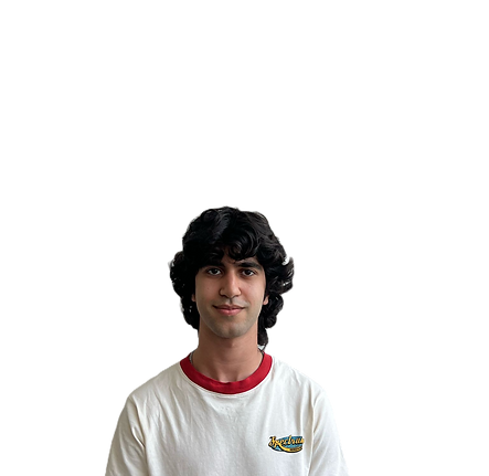 Allaeddin Ftais_edited.png