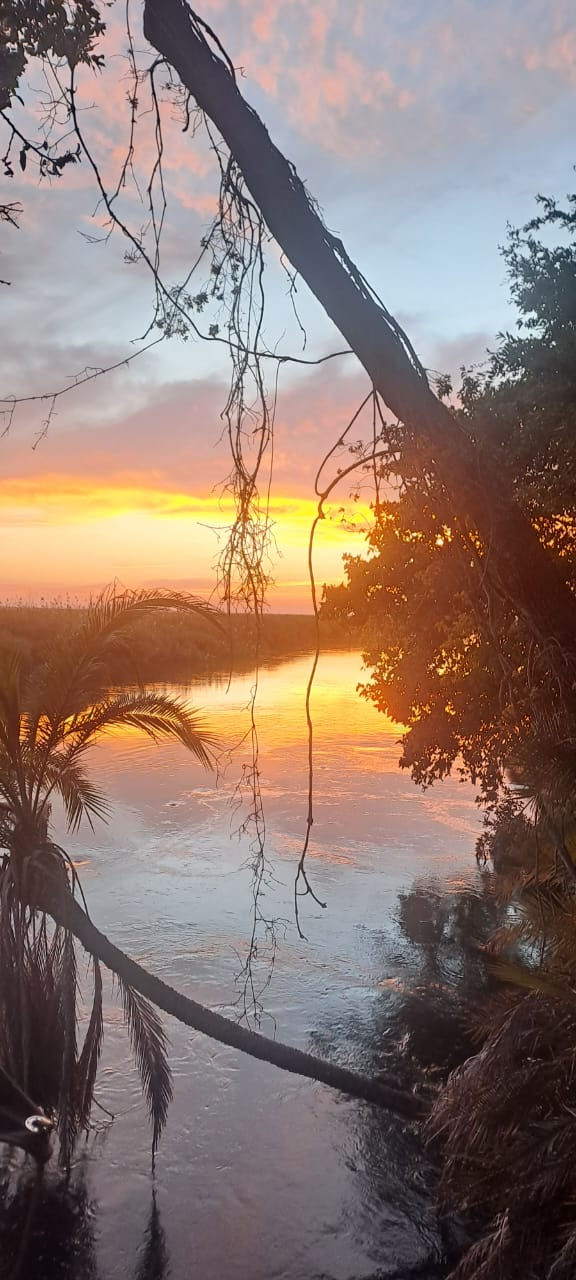 Sunrise in the delta