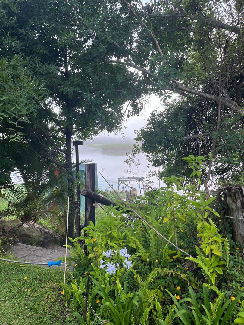 Early morning mist over the river from "Proudly Okavango". Samochima/Shakawe.