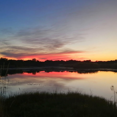 dfcdf2ce-6029-49b2-9266-44731478e9b3.jfif