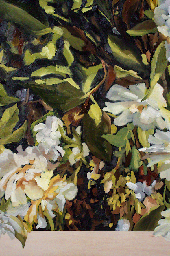 Where We're Planted | 24x36"