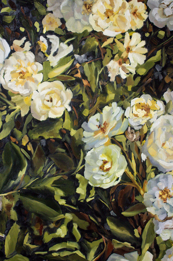 Where We're Planted | 24x36"