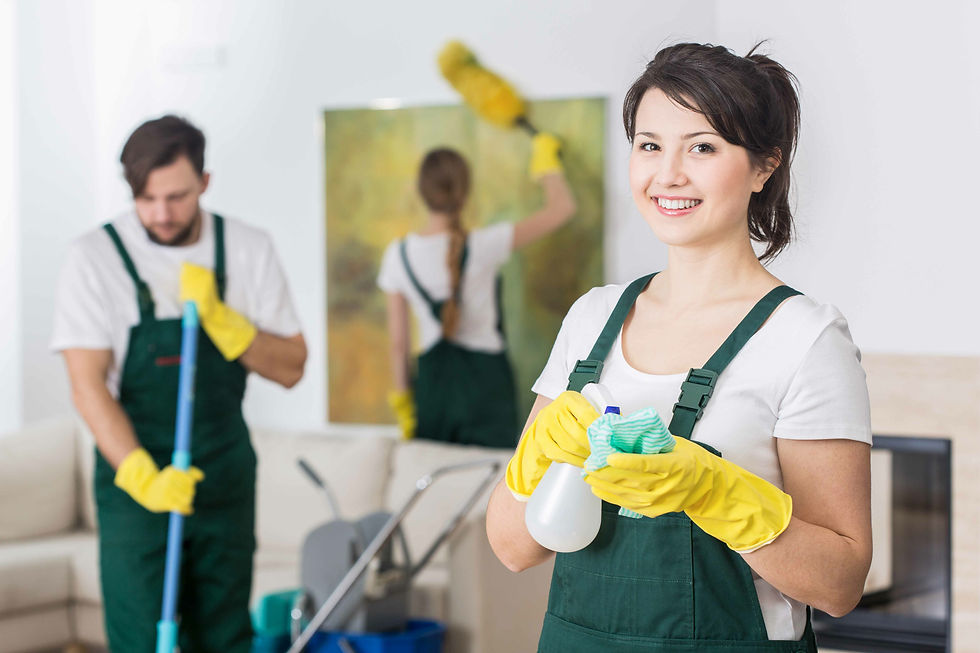 How Cleaners Cheltenham Keep Your Property Spotless and Fresh