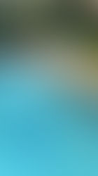 Top Factors to Consider When Choosing an Above Ground Pool Cleaner