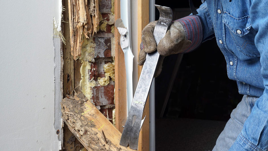 Melbourne Termite Inspection Cost Guide: How Much You’ll Pay in Australia