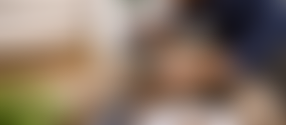 Cheap Vs Professional Termite Inspection Cost Melbourne Explained