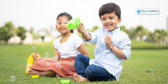 Activities to teach categorisation skills