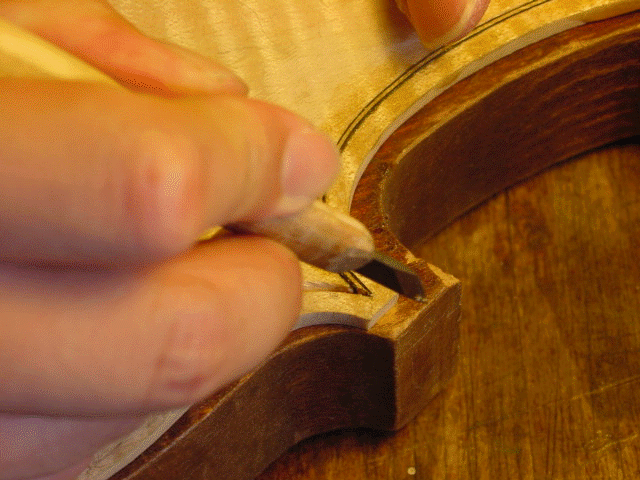 parfuring-c-naifu2.gif