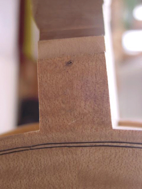 hontaitorituke-21.gif