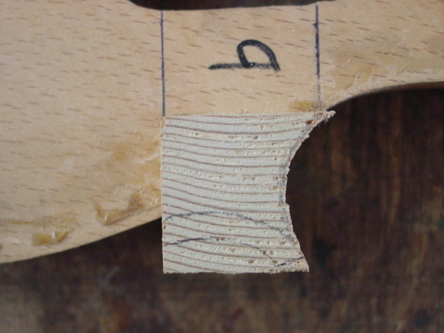 DSC00025.gif