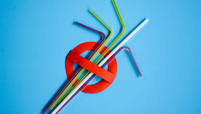 PROHIBICIÓN DEL USO DE PLÁSTICO.