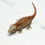 Thumbnail: Red Stripe Female Gargoyle Gecko