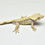 Thumbnail: Soft Scale Male Crested Gecko