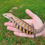 Thumbnail: Baby Blue Tongue Skink (C7-25)