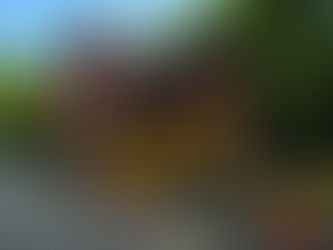 Ideas from Ed: Getting high (Vol. 8, Issue 8)