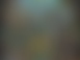 Seres Mágicos: Guía Completa del Mundo Encantado